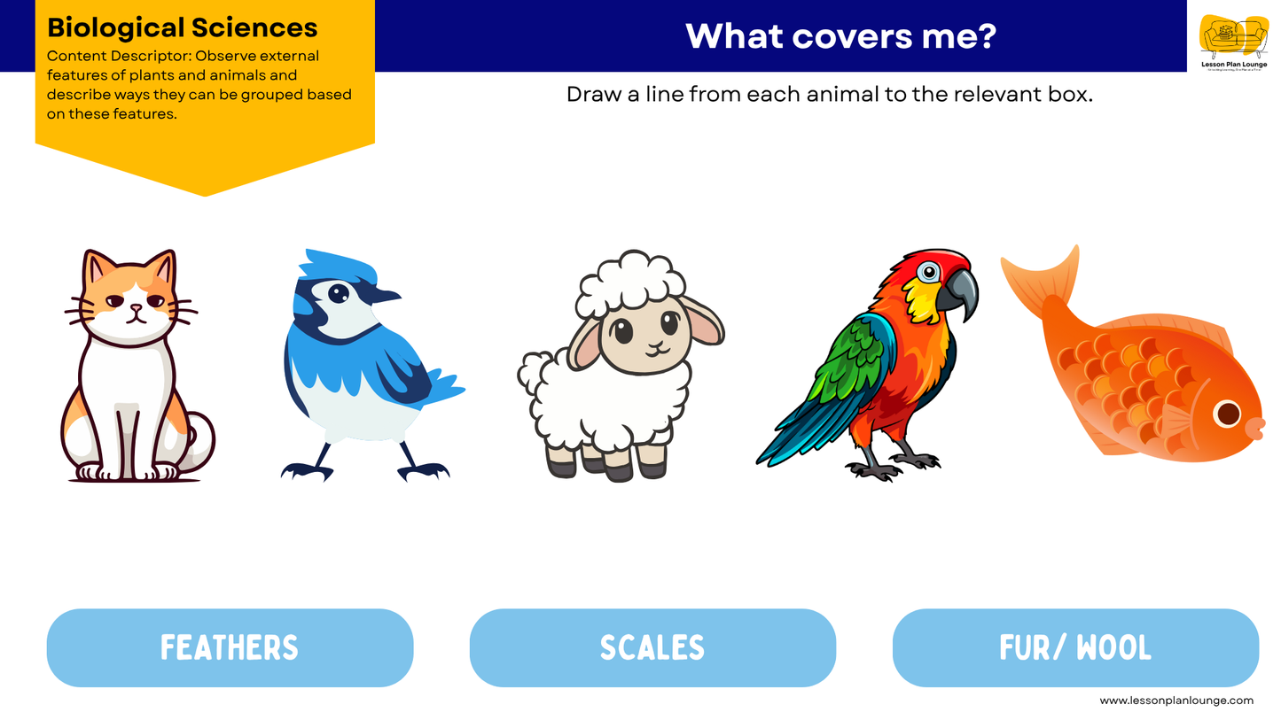 FREE Worksheets - Biological Sciences - External Features Plants and Animals - Education - Kindergarten