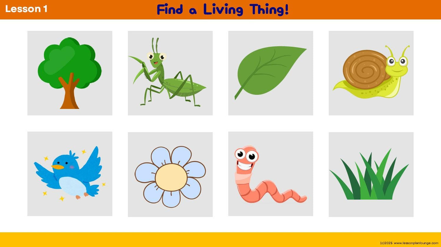 Science - Biological Sciences: 10 Lesson Plans + 1 Summative Assessment and FREE Student WORKSHEETS (Year 1)