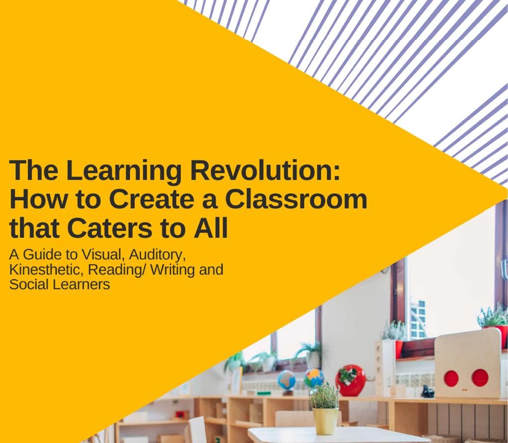 The Learning Revolution: How to Create a Classroom that Caters to All - A Guide Book