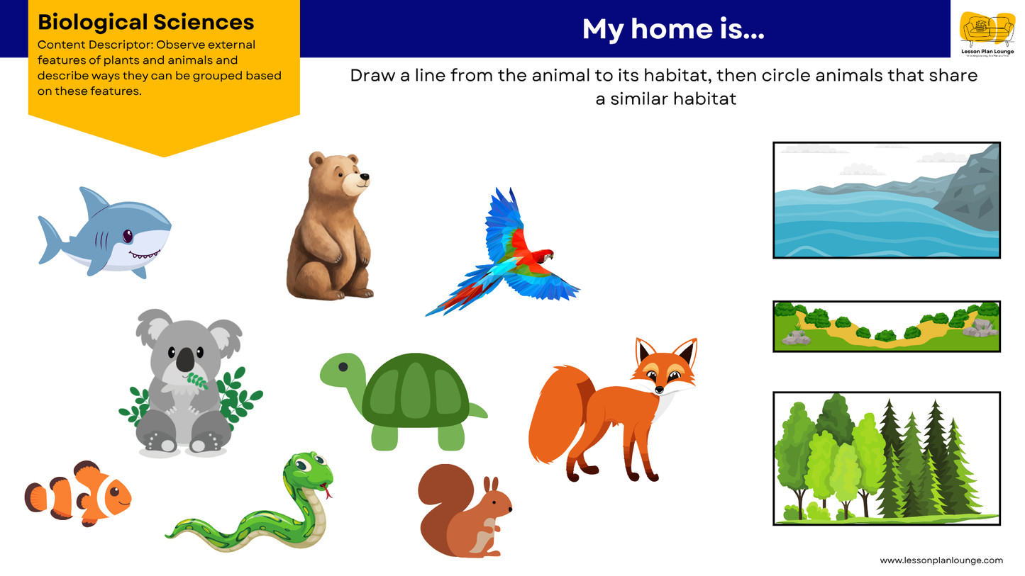 FREE Worksheets - Biological Sciences - External Features Plants and Animals - Education - Kindergarten