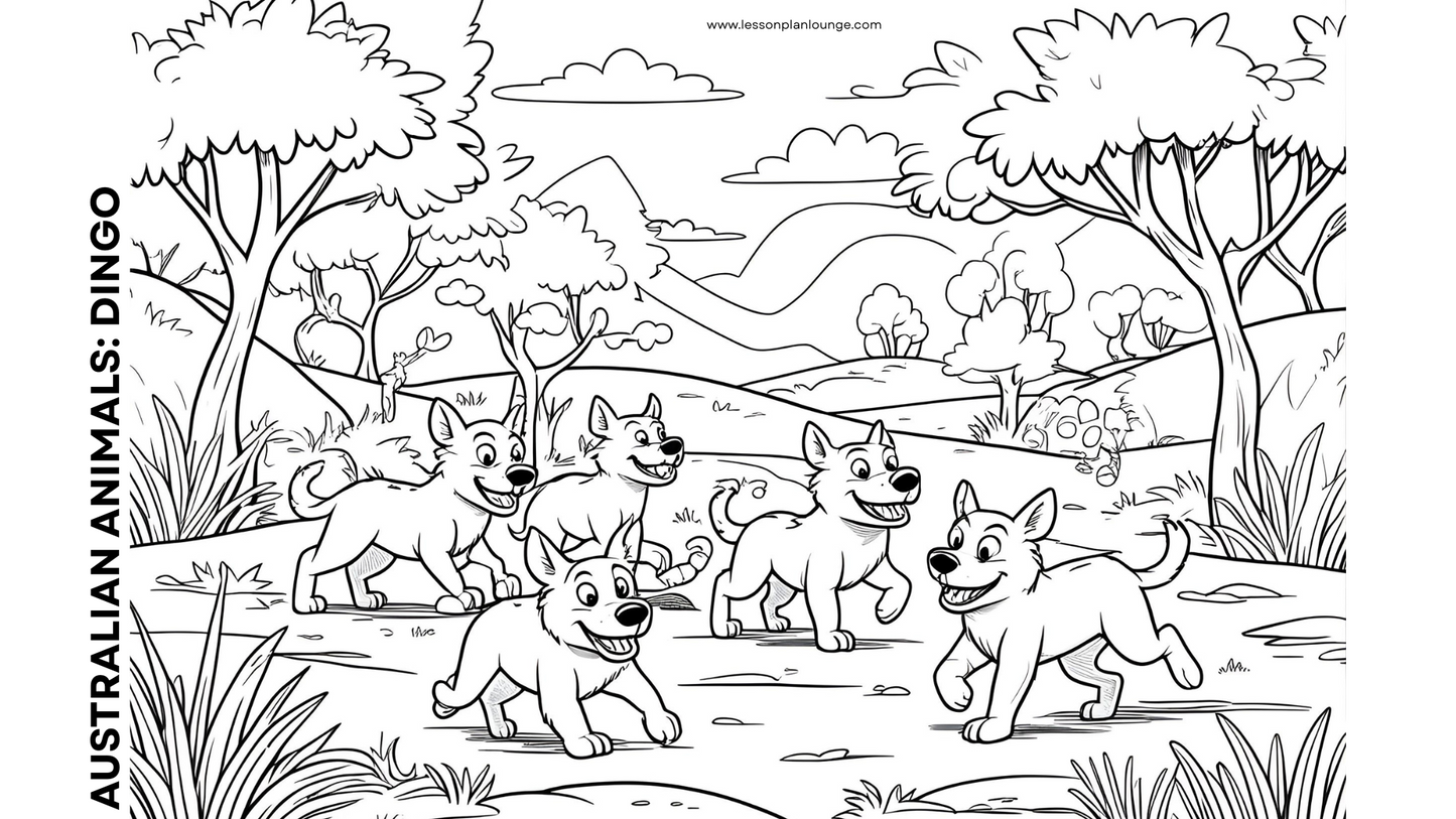 FREE Downloads - Colouring In Sheets - Australian Native Animals