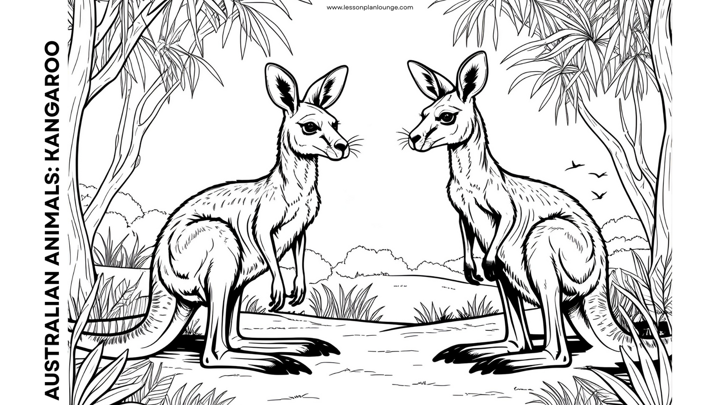 FREE Downloads - Colouring In Sheets - Australian Native Animals