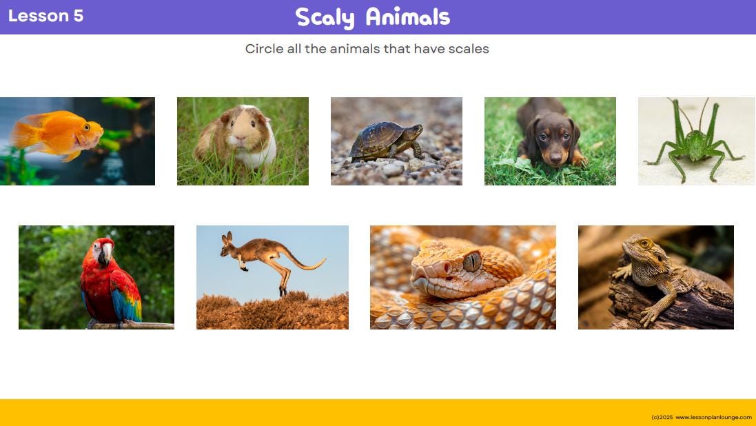 Lesson Plans Science – Biological, Physical and Chemical Sciences - Foundation Year/ Prep Year/ Kindergarten