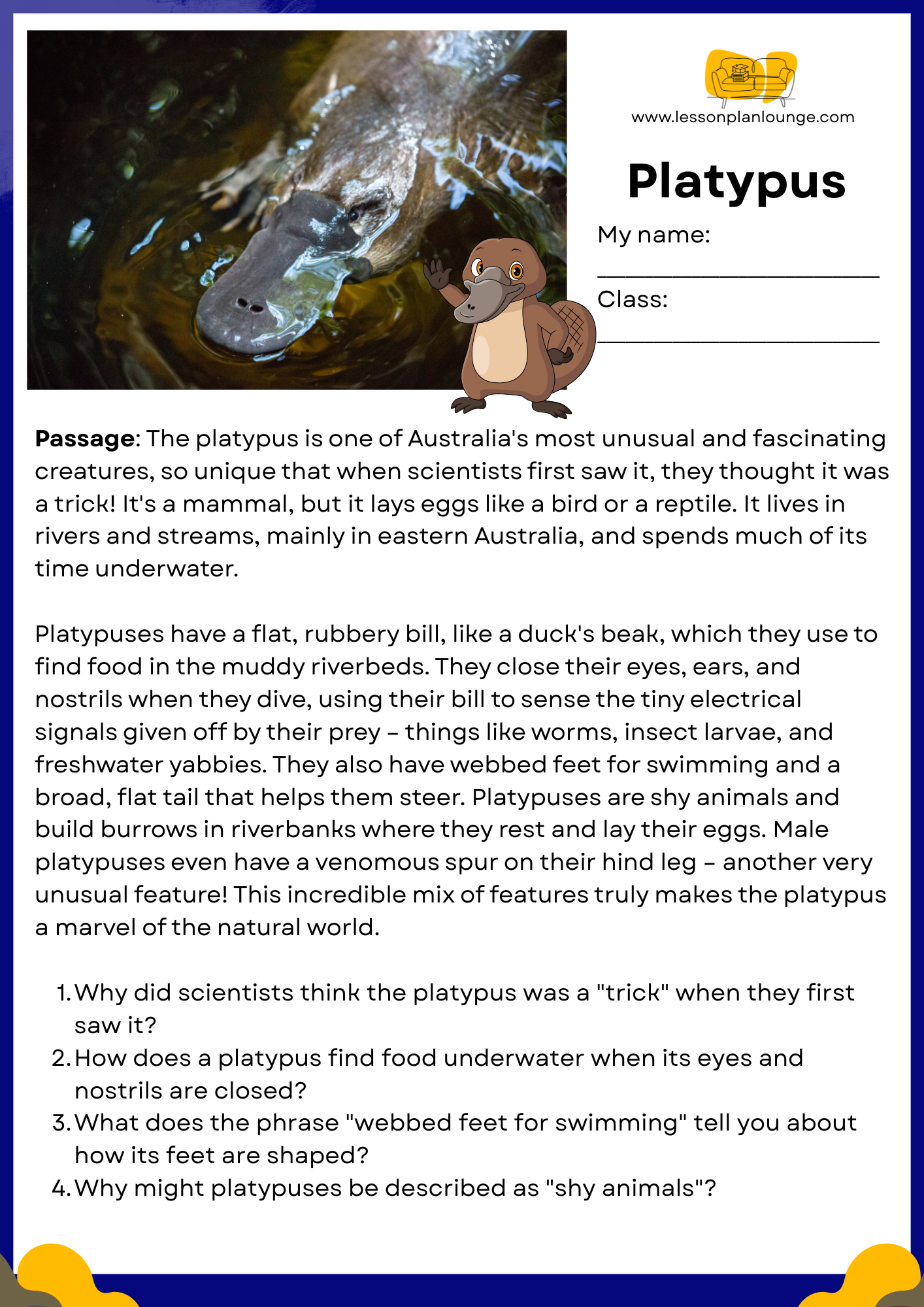 FREE Download - English - Reading - Passages – Platypus