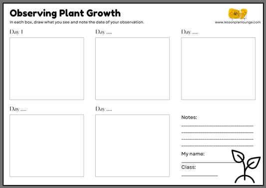 FREE Worksheet - Measuring Plant/ Seedling Growth (Grey) - Sciences - Kindergarten to Year 2