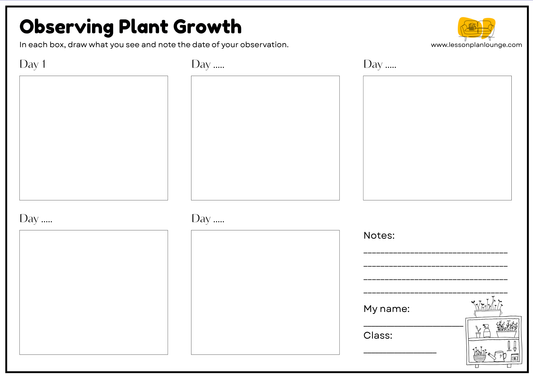FREE Worksheet - Measuring Plant/ Seedling Growth (Black/ White) - Sciences - Kindergarten to Year 2