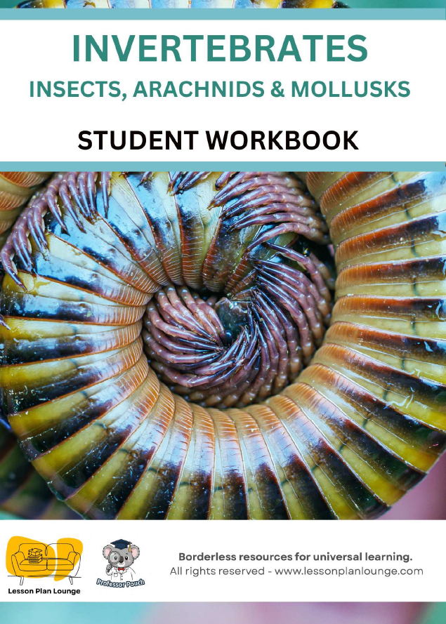 Biological Sciences - Invertebrates Insects, Arachnids and Mollusks - Year/ Grade 3-6