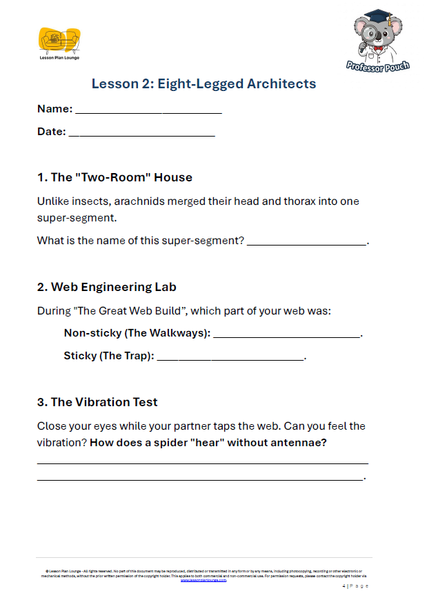 Biological Sciences - Invertebrates Insects, Arachnids and Mollusks - Year/ Grade 3-6