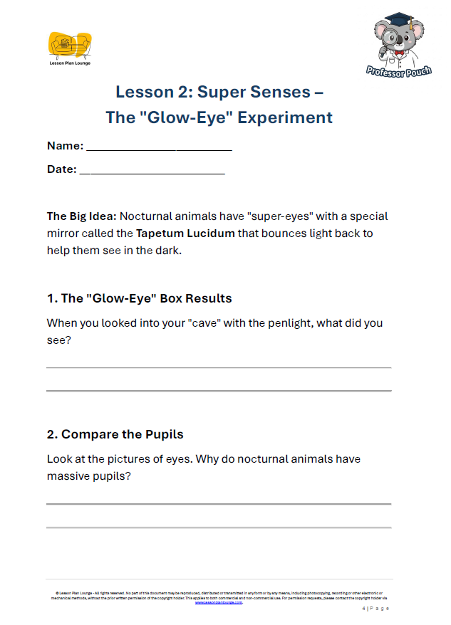 Biological Sciences - Nocturnal vs Diurnal Animals of the Day and Night - Year/ Grade 1-2