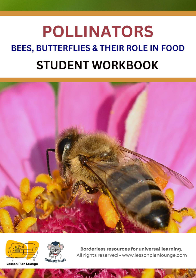 Biological Sciences - Pollinators Bees Butterflies and their role in food - Year/ Grade 2-4