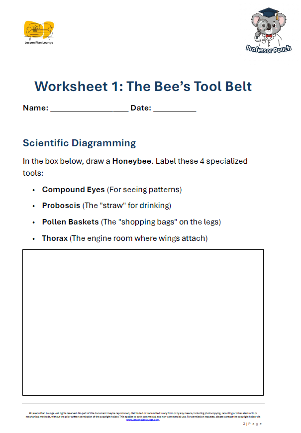 Biological Sciences - Pollinators Bees Butterflies and their role in food - Year/ Grade 2-4