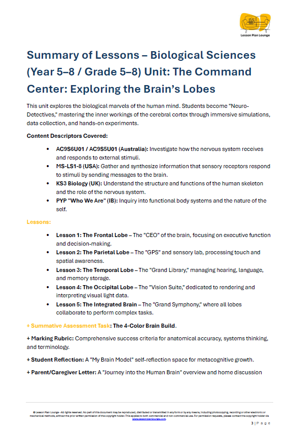 Biological Sciences - The Brain Basic Lobes and what they Control - Year/ Grade 5-8