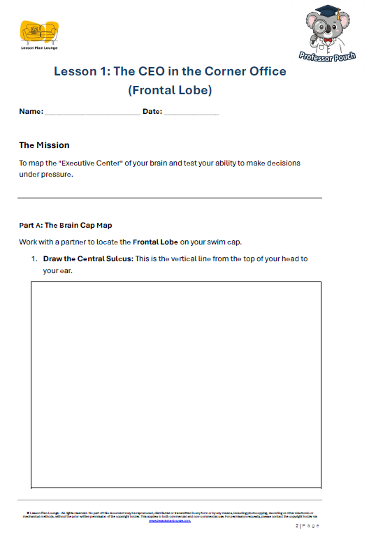 Biological Sciences - The Brain Basic Lobes and what they Control - Year/ Grade 5-8