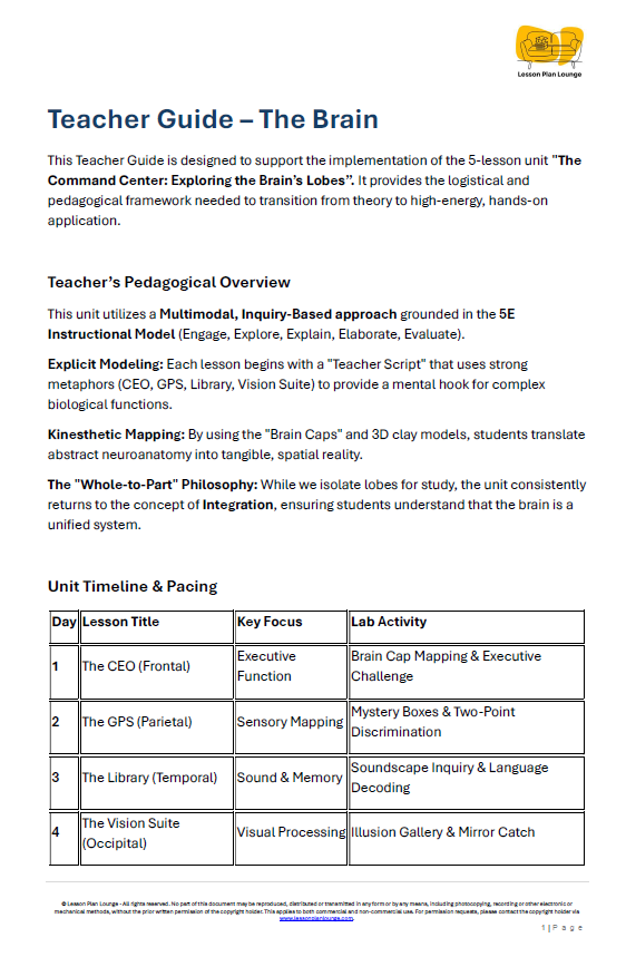 Biological Sciences - The Brain Basic Lobes and what they Control - Year/ Grade 5-8