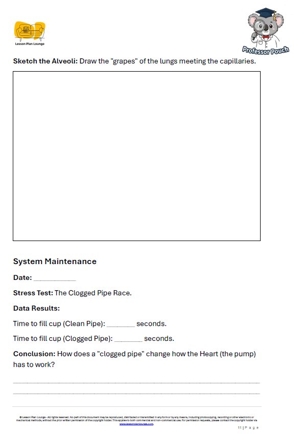 Biological Sciences - The Circulatory System Heart and Blood Vessels - Year/ Grade 5-6