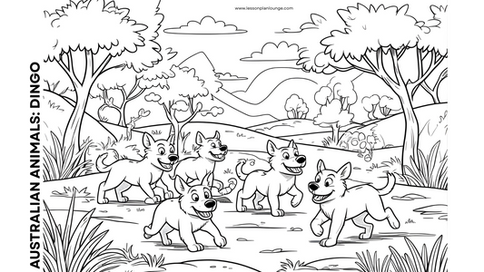 FREE Downloads - Colouring In Sheets - Australian Native Animals