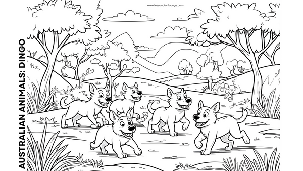 FREE Downloads - Colouring In Sheets - Australian Native Animals ...
