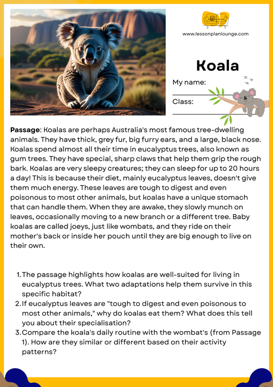 FREE Download - English - Reading - Passages – Koala