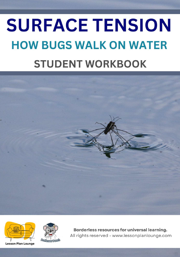 Lesson Plan Lounge - Lesson Plans Physics and Chemistry – Physics and Chemistry Science Lessons – Year/ Grade 3-6Lesson Plan Lounge - Lesson Plans Physics and Chemistry – Surface Tension How Bugs Walk on Water – Year/ Grade 3-6