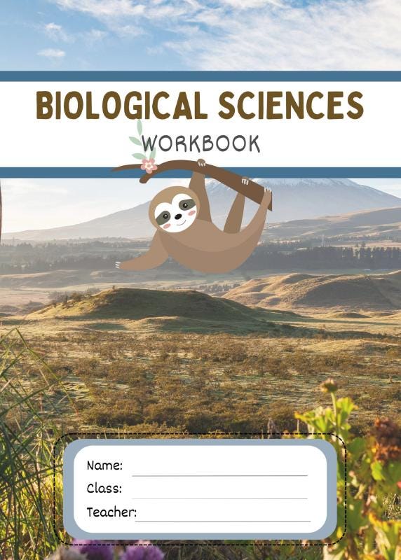 Workbook cover with a sloth on a branch against a mountainous landscape
