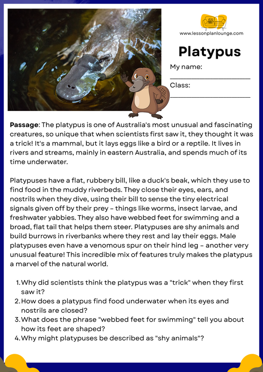 FREE Download - English - Reading - Passages – Platypus