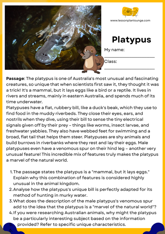 FREE Download - English - Reading - Passages – Platypus